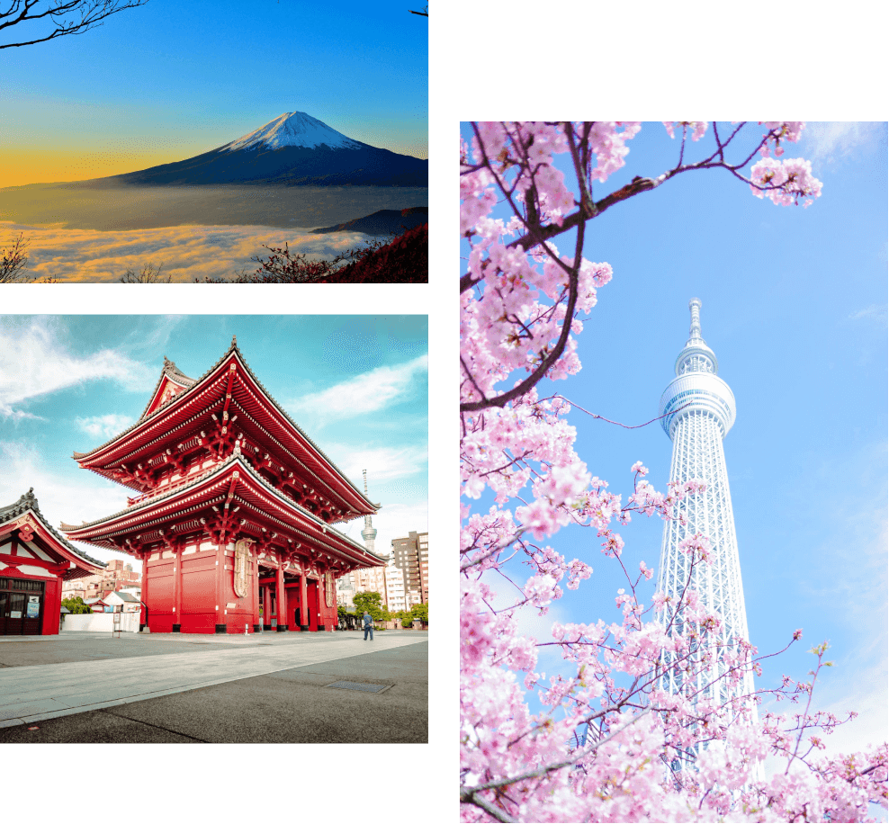 Cool in the deep forest